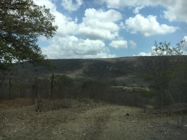 Fazenda em gravata 502 hectares, terreno amplo sen um vale com passagem de rio 8km da br23 - Foto 5