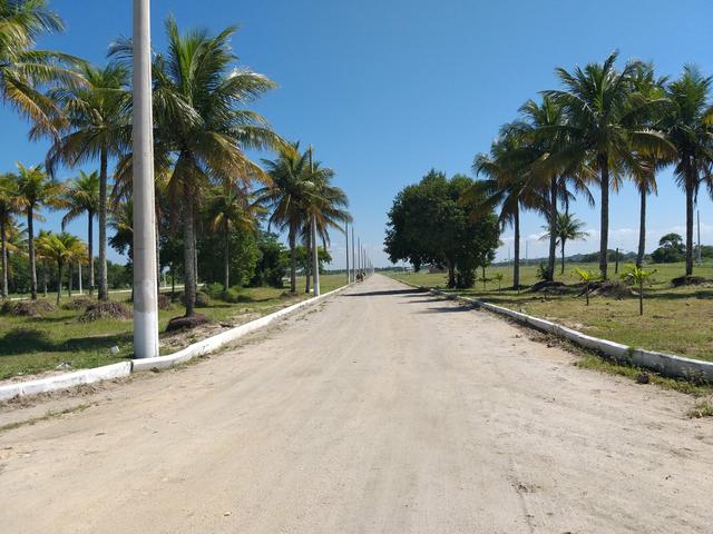 G Cód 107 Lotes com RGI, prontos para construir!!! - Foto 4