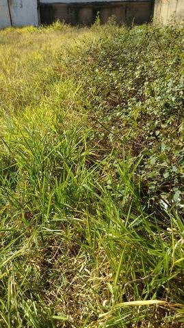 Terreno J.Noêmia - 12 x 25 (300 M2) - Oportunidade de 199 p/ 180 Mil/Plano/Murado - Foto 3