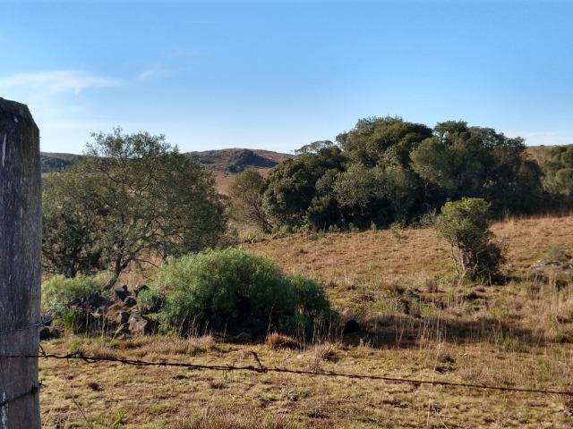 Área de terras com 22,24 hectares própria para cultura