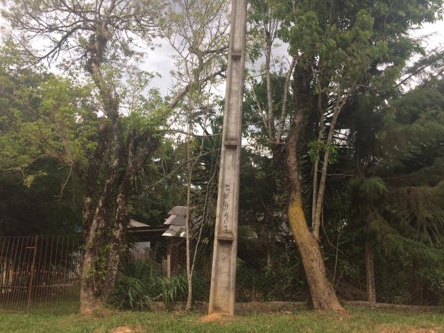 REF ? 2404 - Chácara com 2,400 m² localizada no capinzal com 3 nascente - Foto 20
