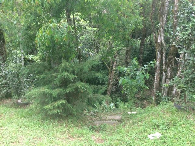 REF ? 2404 - Chácara com 2,400 m² localizada no capinzal com 3 nascente - Foto 4