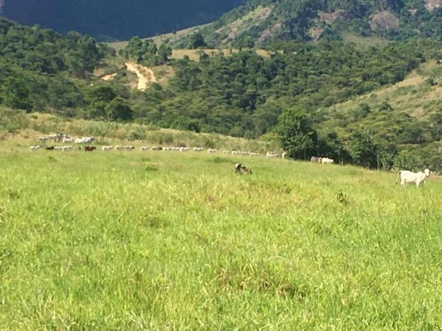 Fazenda - Centro Guaratinga - Foto 3