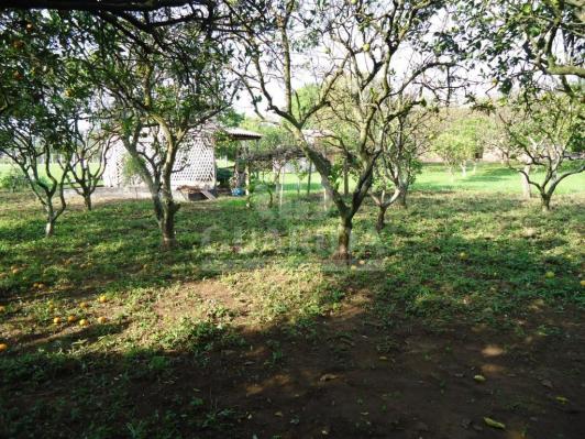 Chácara à venda em Lomba grande, Novo hamburgo cod:64492 - Foto 4