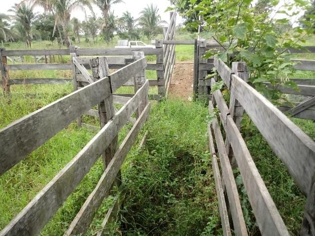 Fazenda 333 hectares para Pecuária em Livramento - Foto 19