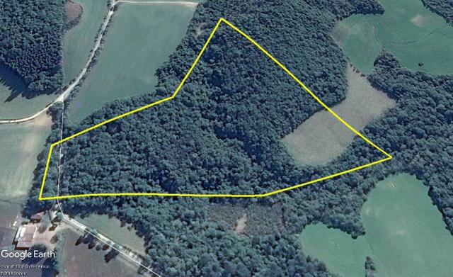 Ref. 1944-2 Chácara com 96.000 m², Localizada na Colônia Municipal ? Lapa