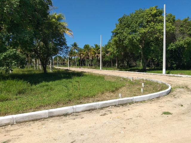 G Cód 107 Lotes em Unamar Cabo Frio!!! - Foto 2
