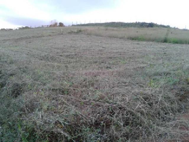 REF. 2458 - Terreno com 689,60m², no Mato Branco Contenda - Foto 5
