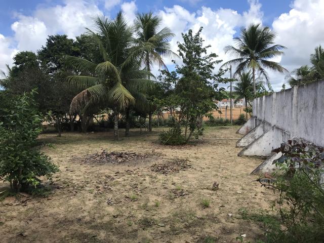 Granja, sítio, fazenda em Igarassu, 4 hectares com bastante benfeitorias! - Foto 11