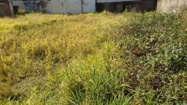 Terreno J.Noêmia - 12 x 25 (300 M2) - Oportunidade de 199 p/ 180 Mil/Plano/Murado - Foto 5