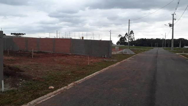 Venda de Terrenos - Foto 6