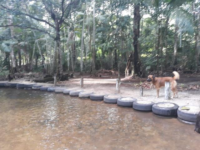 Sítio em Santa Bárbara - Foto 5