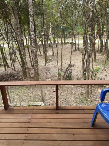 Vendo sitio com 12000 metros quadrados - Foto 12