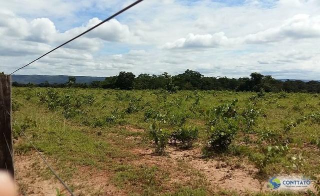 Fazenda 1500 hectares, com dupla aptidão, na Região Serra azul, Mato Grosso - Foto 11