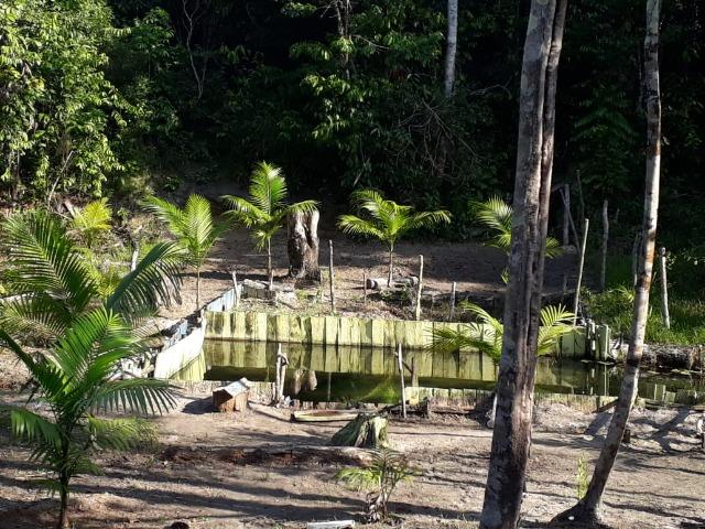 Terreno com Igarapé - Ramal do 30 Curuçá - Foto 16