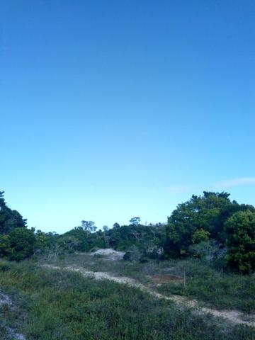 Duas áreas de terras - Foto 3