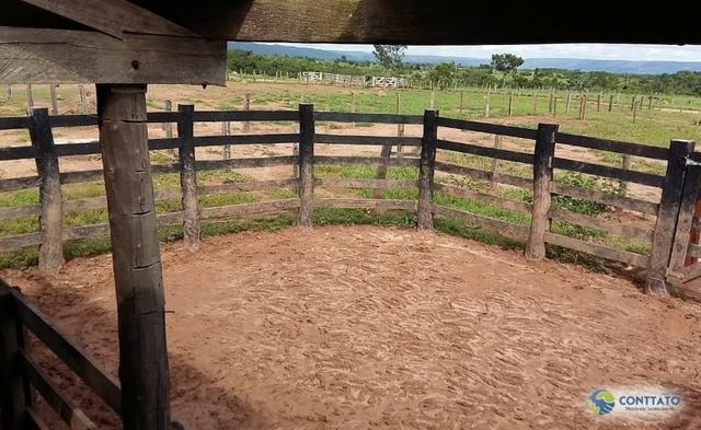 Fazenda 1500 hectares, com dupla aptidão, na Região Serra azul, Mato Grosso - Foto 17