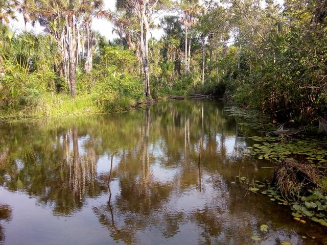 Terreno na beira da pista - Foto 4