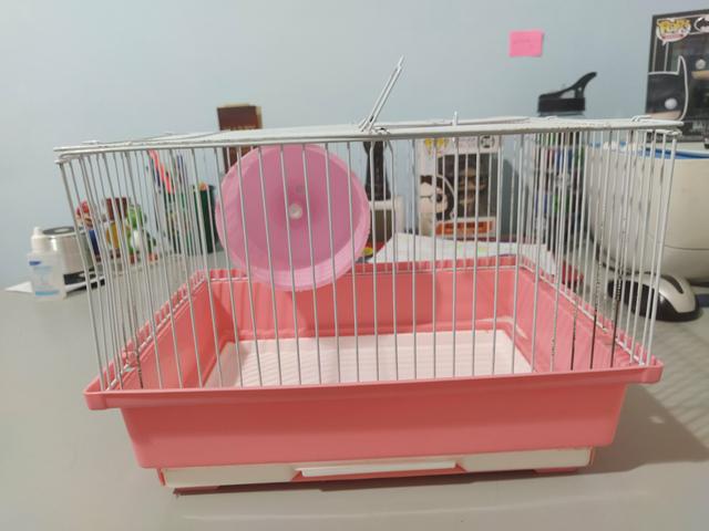 Gaiola Simples para Hamster
