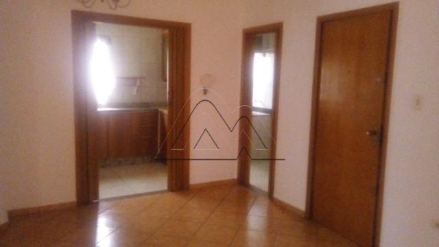 Apartamento - Foto 13