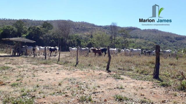 Fazenda em Cocalzinho-G! - Foto 14