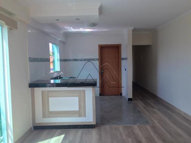 Apartamento - Foto 4