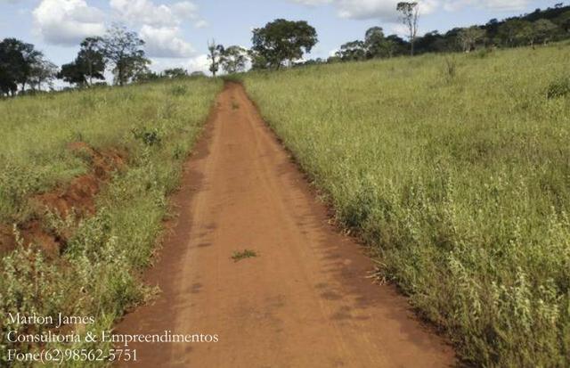 Fazenda em Cocalzinho-G! - Foto 4