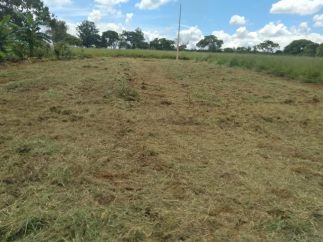 Excelente lote no Bela Vista 1
