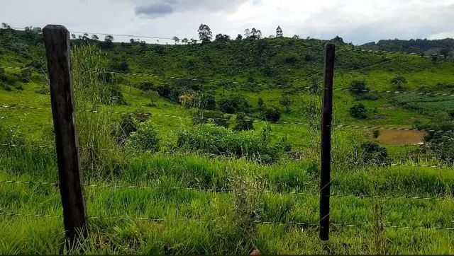 Fazenda de opurtunidade  55 mil o alqueiro - Foto 2