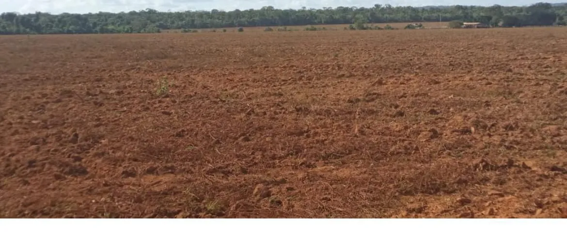 Fazenda arrendada com 200 alqueires em Matupá MT. Doc de posse, 130 abertos, 15 milhões.