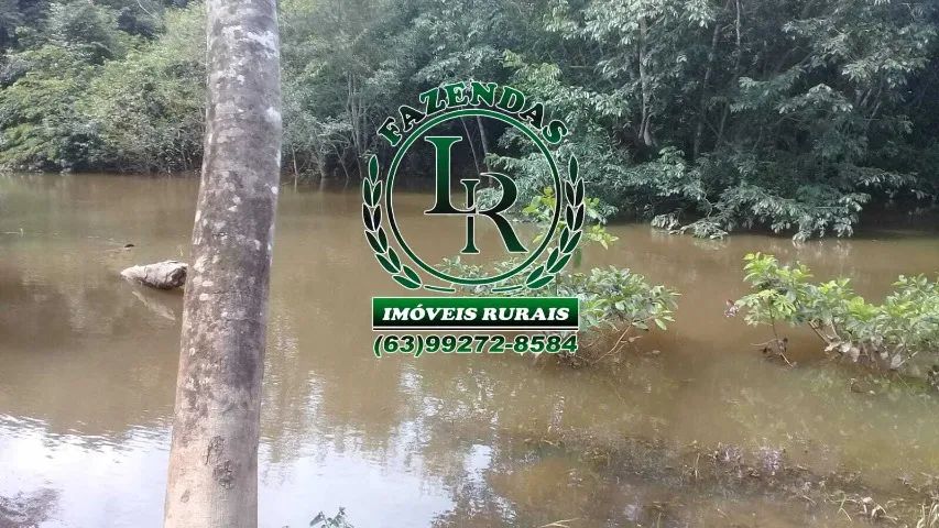 Fazenda 50 Alqueires Dupla Aptidão - Foto 4