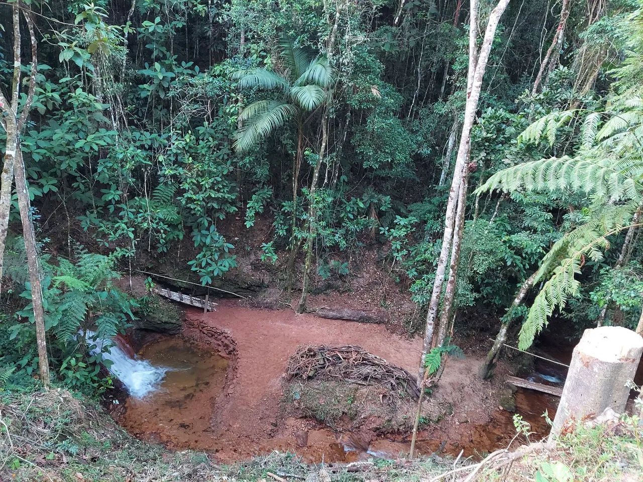 Terreno 24000m2 - 8km Sao Roque da Maravilha - Foto 9