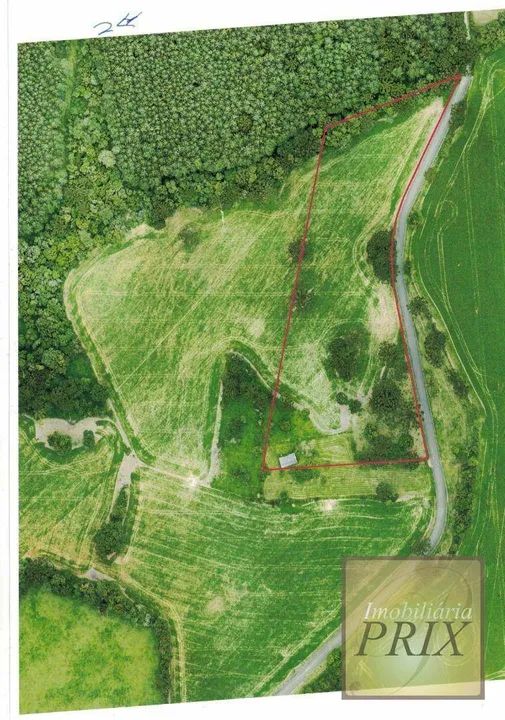 Chácara com 2 dormitórios à venda, 31627 m² por R$ 990.000,00 - Zona Rural - Palmeira/PR - Foto 3