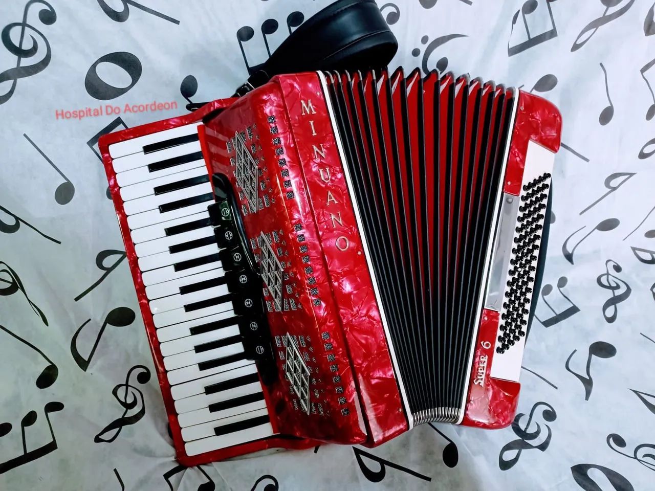 ACORDEON MINUANO 80 BXS OITAVADA NOVA 