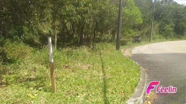 Terreno de 1.500,74m² no Bairro João Paulo - Florianópolis
