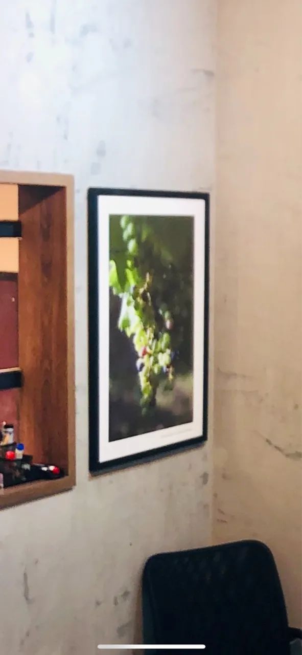 Quadro Uvas em Mendoza - Fast Frame - Foto 3