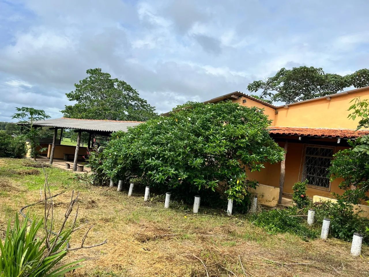 SÍTIO PRÓX CUIABÁ 16 HECT 