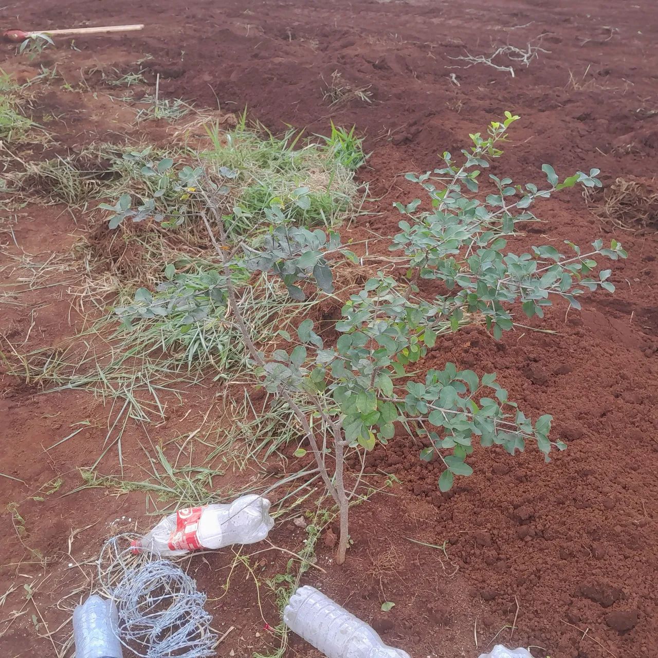 Terreno com área verde em ótima localização
