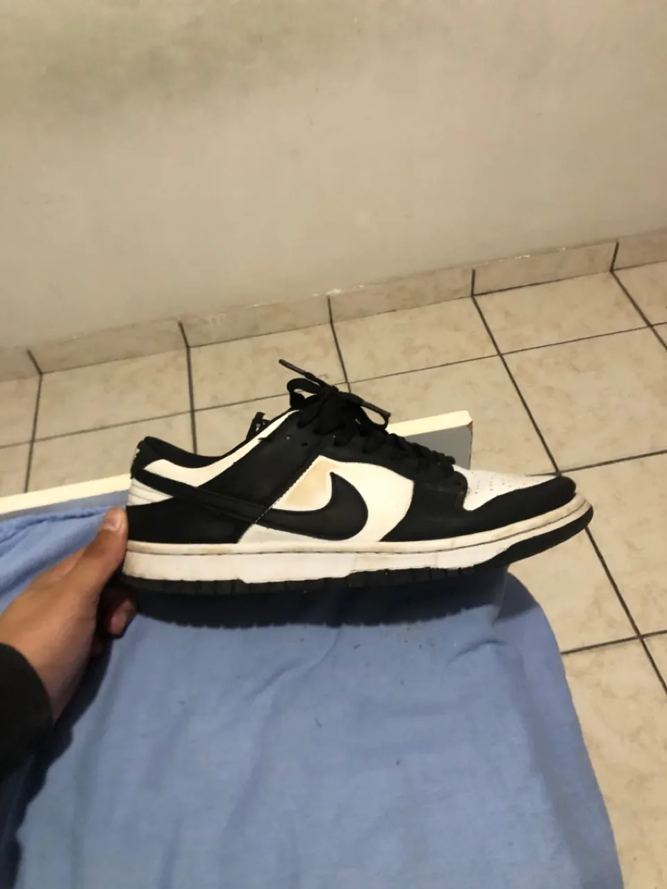 Nike Dunk Low Black White
