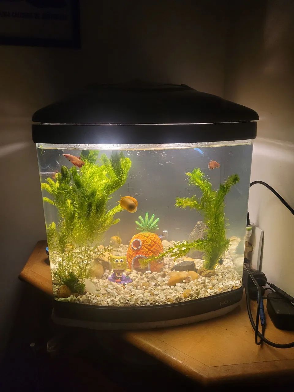 Aquario boyu 50 litros completo 