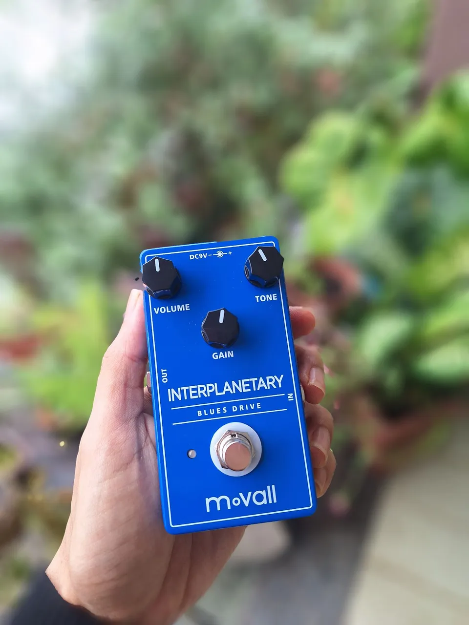 Pedal Interplanetary Blues Drive Movall