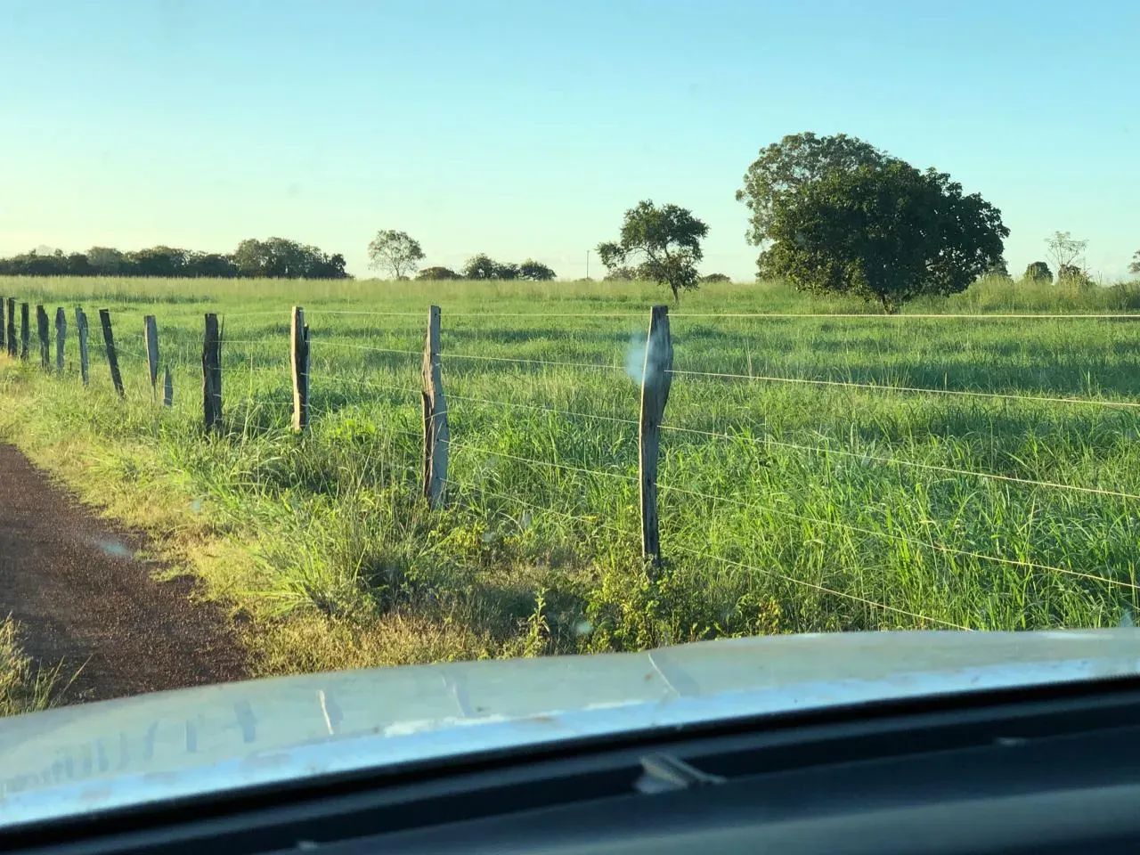 Fazenda 71 alqueireis (345 hectares) Duere - TO