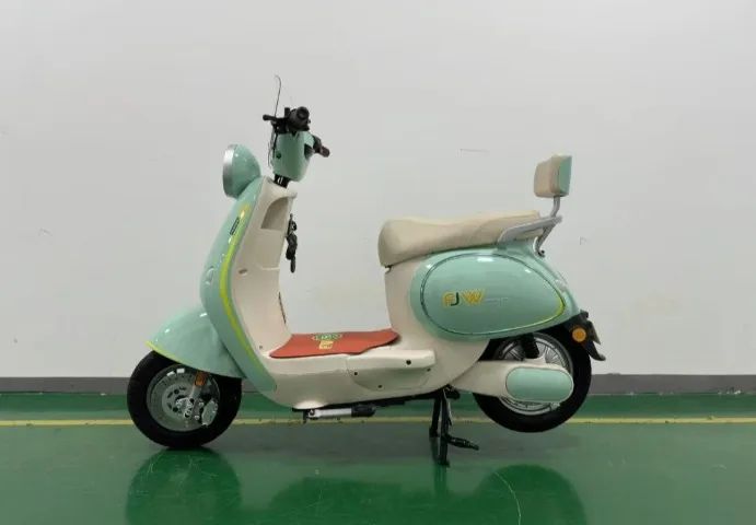 MOTO ELETRICA TFW  RETRO 800W 
