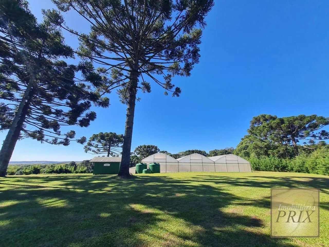 Chácara com 2 dormitórios à venda, 31627 m² por R$ 990.000,00 - Zona Rural - Palmeira/PR - Foto 5