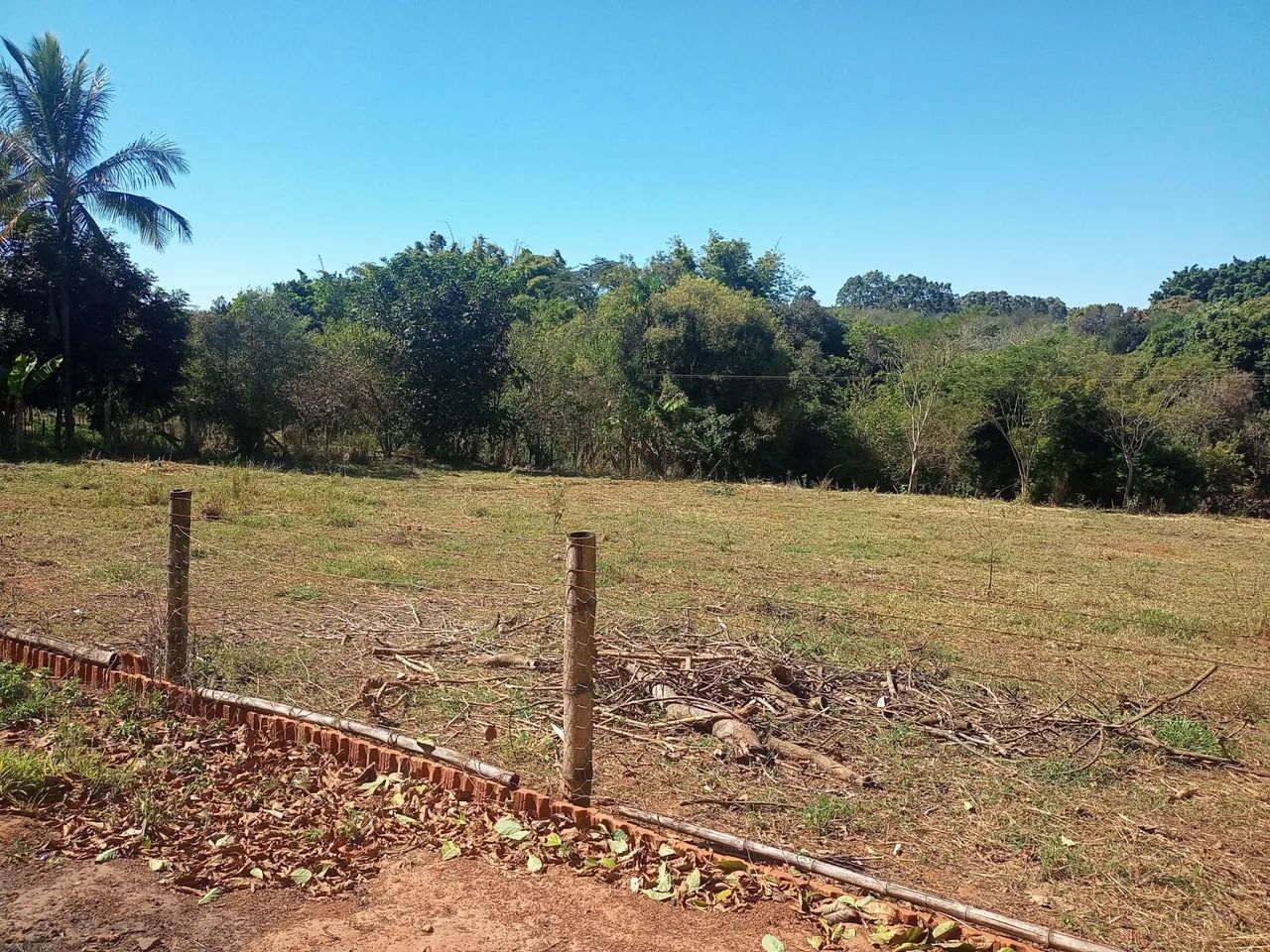 Foto - São José do Rio Preto - Jardim Walkíria