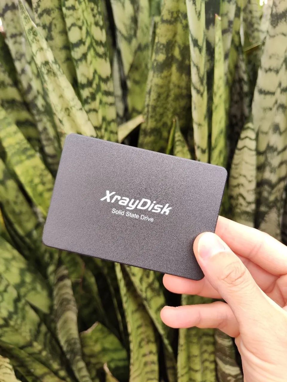 SSD XrayDisk 512gb Sata  - Novo