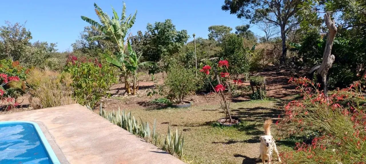 Vende-se Chácara, Planaltina/DF - Foto 5