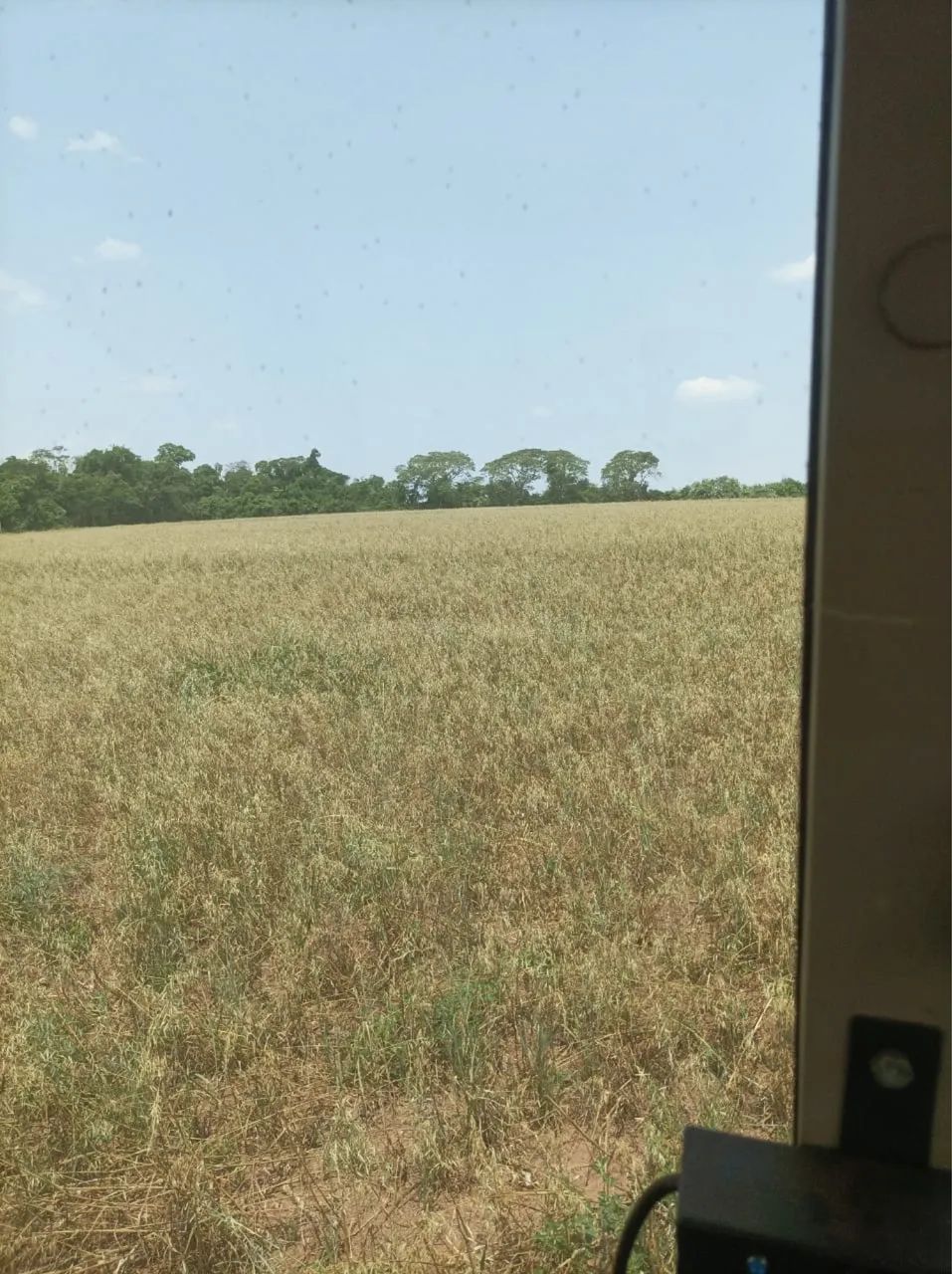 Área de 30 alqueires a venda em Campo Mourão  - Foto 2