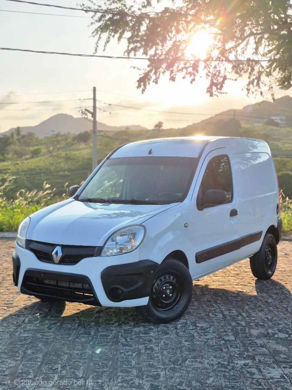 Renault Kangoo Kangoo Express Hi-Flex 1.6 16V 2015