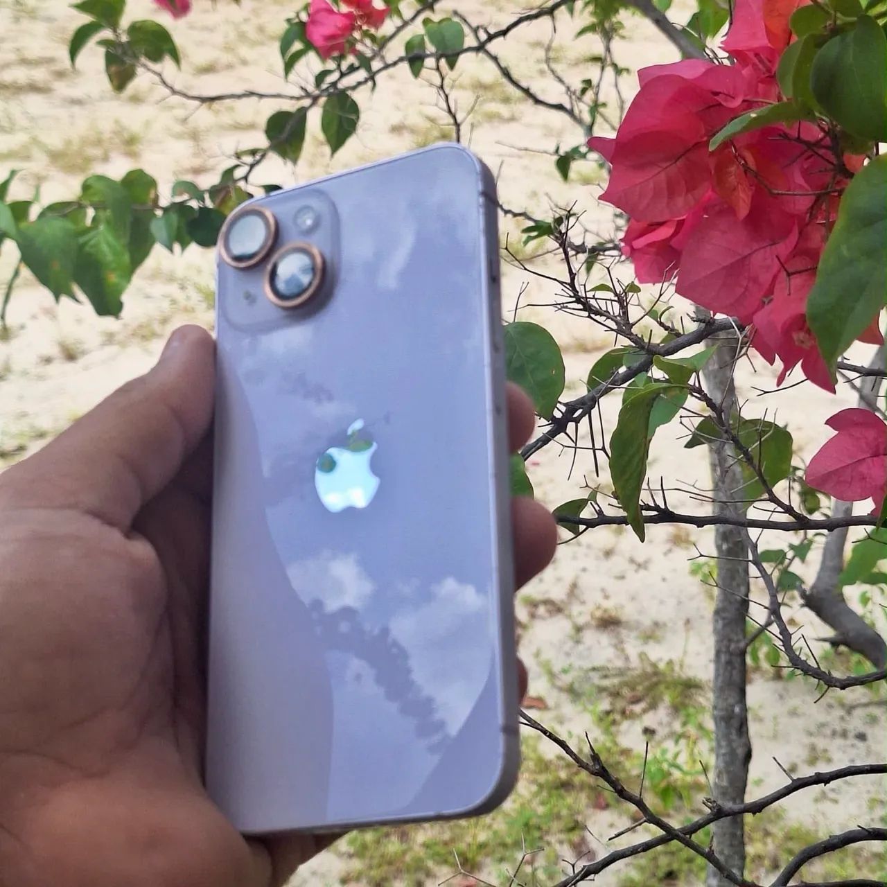 iPhone 14 